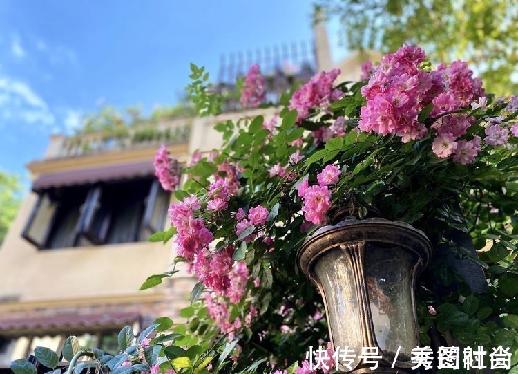 无尽夏|庭院改造:50㎡的下沉式庭院造花园,有地我也建一个,太好看了!