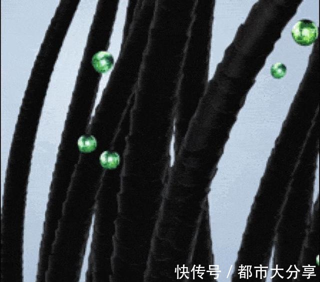 小马甲|一款“默默无闻”的洗发水,效果不输大牌,网友用完头发更好了!