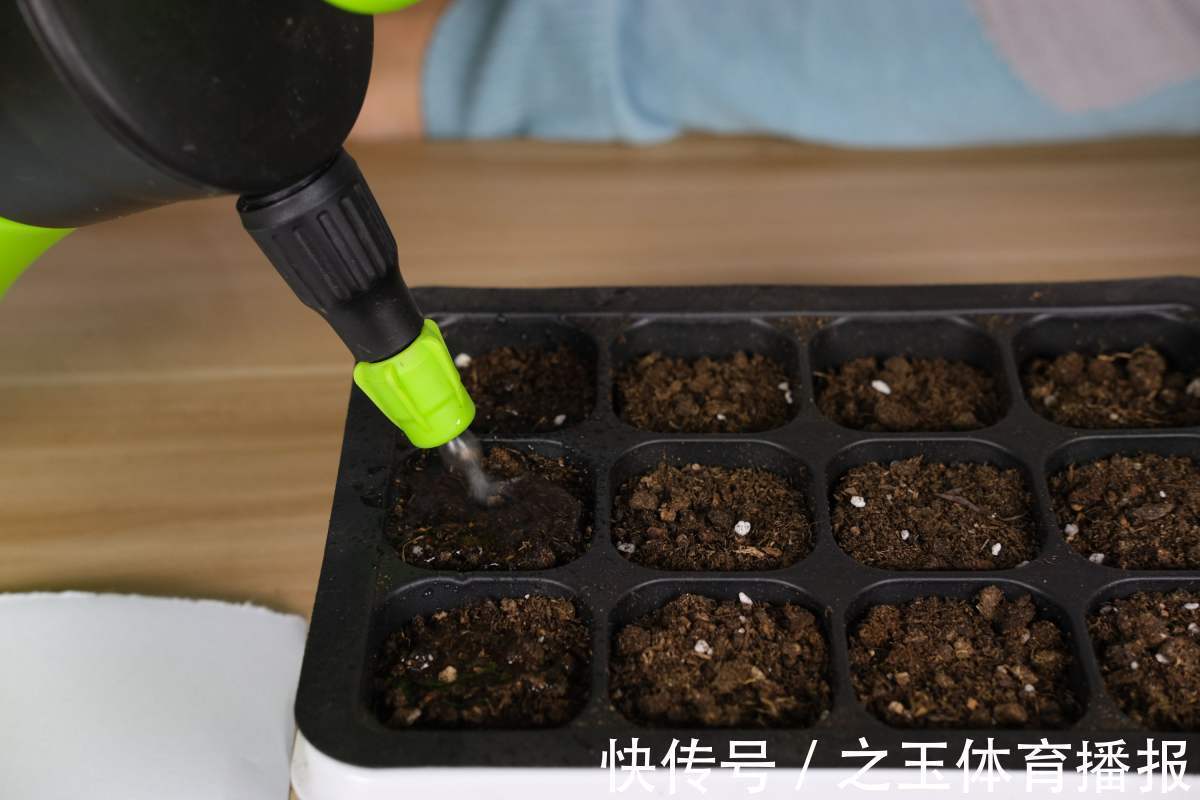 教你一些浇水的方法,从此浇花不再盲目,花长得又快又旺!