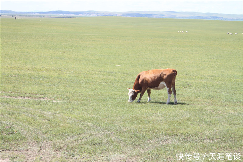 走进草原，门可罗雀达达线，国道收费很败兴