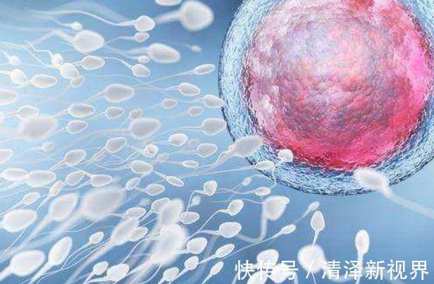 信号|排卵期一到,会对女性发出五大信号,有个老公可以感觉到