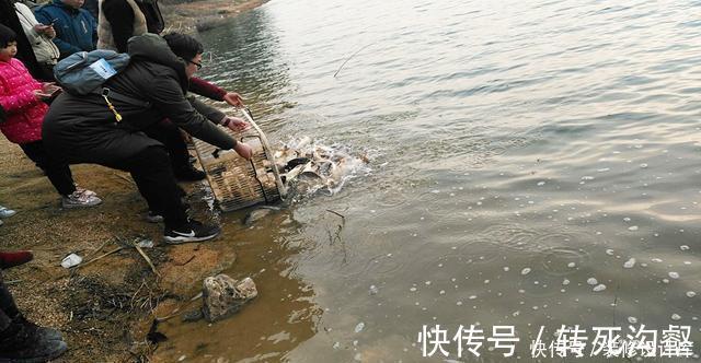 后脚|前脚放生鱼入水,后脚钓友下杆垂钓!垂钓者:我这是保护环境