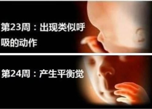 身长|胎儿在21--24周的生长是怎样的?孕妈别错过,多了解多开心