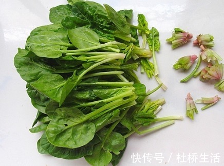 常给孩子吃此菜,为孩子贵也别省,眼睛不近视,身高也蹭蹭长!