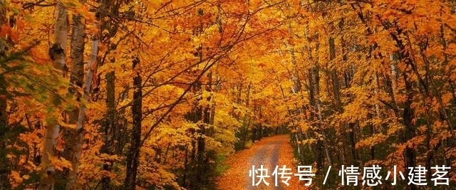 稻盛和夫|商界大佬稻盛和夫给年轻人的三条忠告，句句受益，值得一读