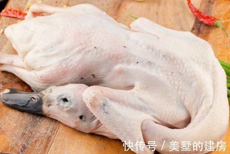 清热|秋季干燥易上火，别忘“这4种”食物，补充水分不干燥，清热下火