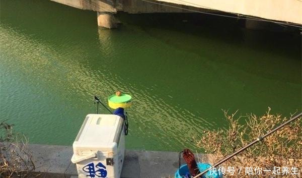 核心|冬季钓鱼困难多,核心技巧就两个,牢记这两招,天冷也不会走空!