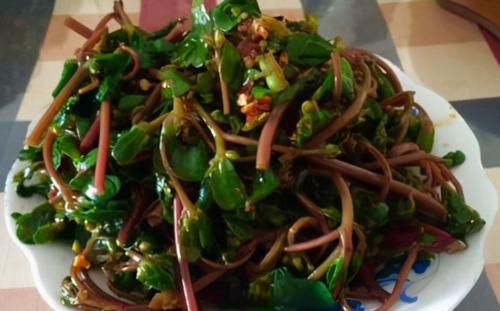 长寿老人|长寿老人推荐常吃以下3种食物，抵抗衰老，除去老年斑，增强免疫