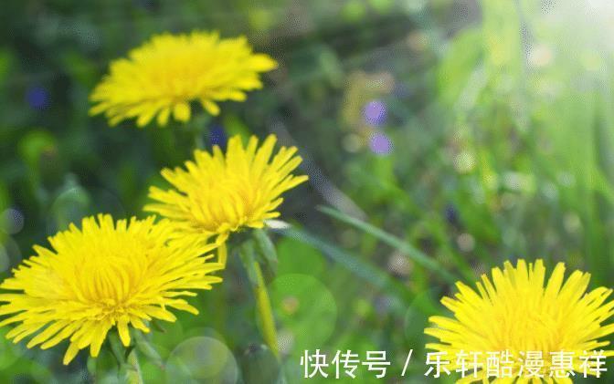 苦尽甘来|7天后,4个星座,有贵人相助,苦尽甘来,工作生活皆顺利