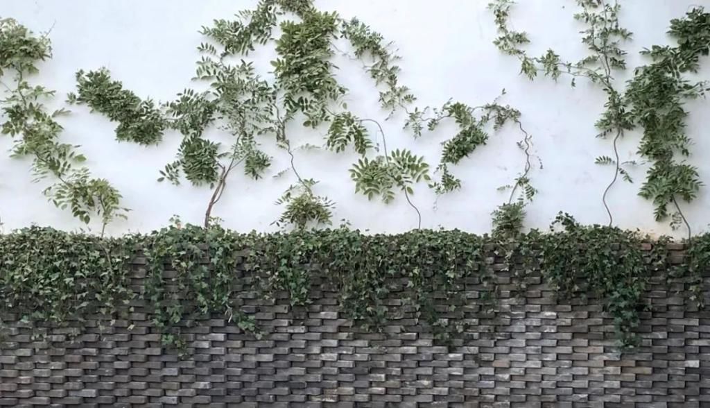 中年|昆明贵宾楼