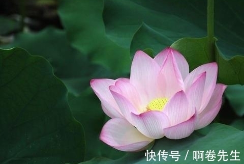 生肖龙|进入10月下旬，4属相吉星关照，不缺福禄，生活蒸蒸日上