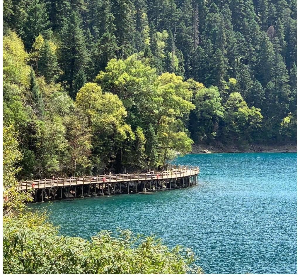 中长发|邓萃雯实现九寨沟之旅 开心发文分享旅行美照美景