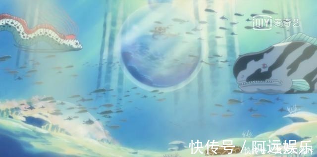 鱼人岛|海贼王鱼人族的力量天生是人类十倍，为何没出现将皇级的强者