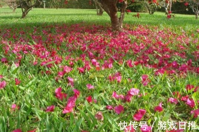 柳永!欧阳修高水平的10首诗词排行,《生查子 元夕》仅第二,第一是?