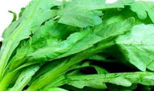 黑莓|女性可以常吃3种食物,排毒养颜、延缓衰老,好处多多!