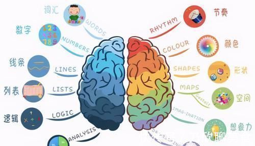 亲子关系|孩子有这3种表现,说明右脑很发达,好好培养将来更容易成为学霸