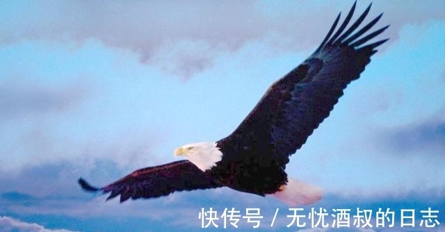 诗意@七言绝句《秋言狂志》,小诗有点狂劲,看看有没有喜欢的诗句?