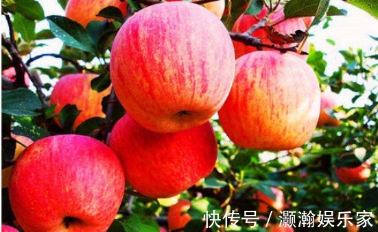 茉莉花鸡片|女人来月经时,推荐多吃4种食物,排出毒素,净化血液,滋养子宫