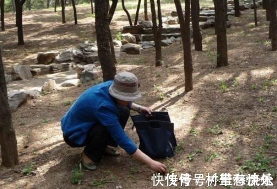 捡“1物”扔水里就是养花“万能水”,养啥旺啥,比花肥强10倍