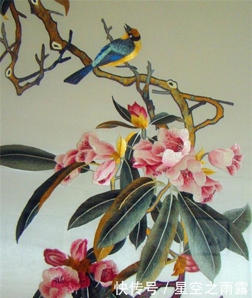 爱马仕|60岁藏族大妈被爱马仕看中,靠一根针走进联合国,几年净赚800万