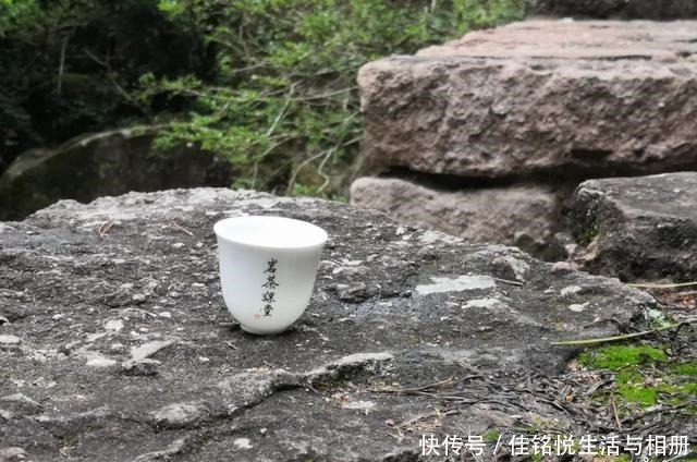 大红袍|武夷岩茶秘辛,三百多年的母树大红袍,为什么长不成参天大树