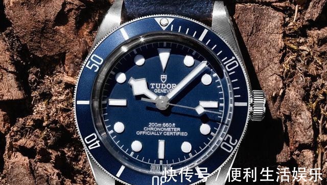 指针 帝舵蓝水鬼,受GPHG大奖认可的高CP值手表!