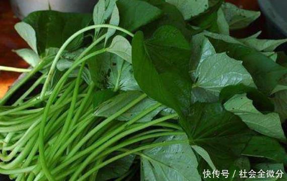 赶走|天然“调经菜”找到了,子宫越吃越干净,赶走痛经显年轻