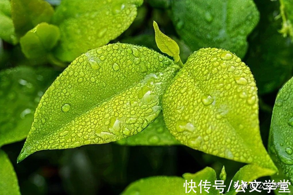 咏针$五千年来骂人最狠的8句古诗词，叹为观止