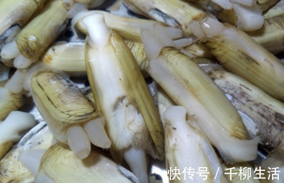 营养|夏季,遇到这肉别错过!一次性买十斤冻起来,营养高味道鲜美!