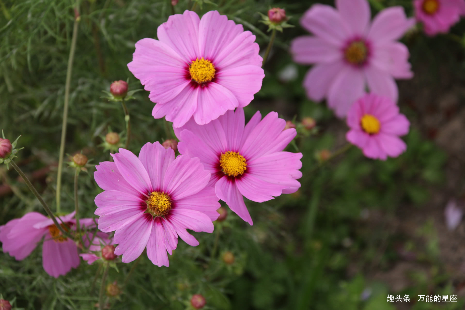 栩莹|这3个时间出生的娃,福气像宝藏,中年以后多才多福,父母也沾光