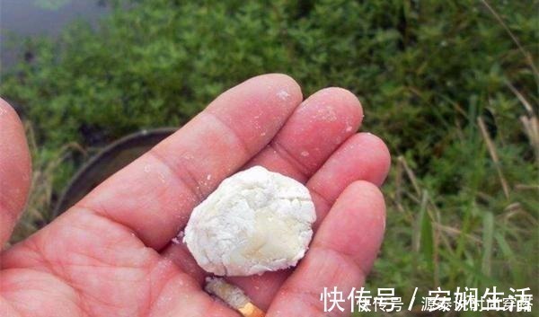 饵团|钓大板鲫饵料配方,便宜且简单,关键还是效果好,适合秋季使用!