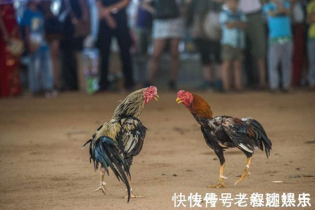 下联$穷秀才出一上联 “斗鸡山上山鸡斗”, 下联非常的绝妙