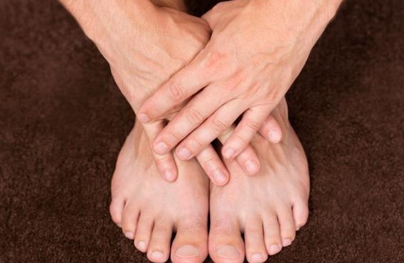 桂圆|“补血王”被发现,红枣靠边站,平时可劲喝,把气血慢慢补回来