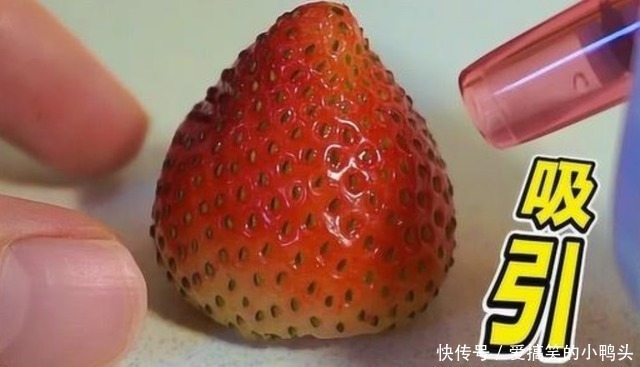 黑头吸出器|小伙用黑头吸出器给草莓“去黑头”,会发生什么?结果让人意外
