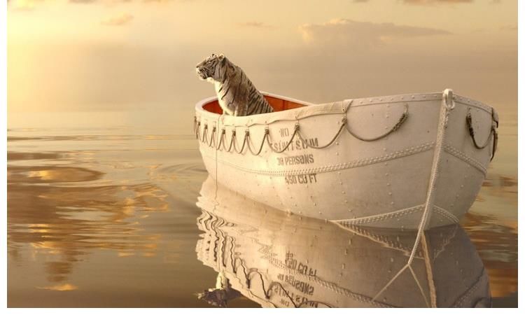 动物园|影视推荐《少年派的奇幻漂流》