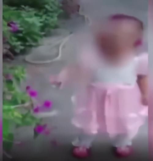 救女|2岁女儿 骨折查出罕见病，90后妈妈取骨救女，只要孩子能站起来