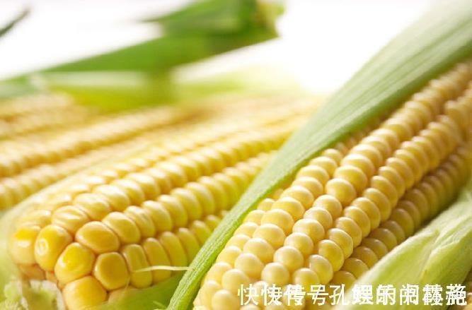 玉米|常吃玉米对身体好,但玉米不能与一物同吃,为健康及时忌口