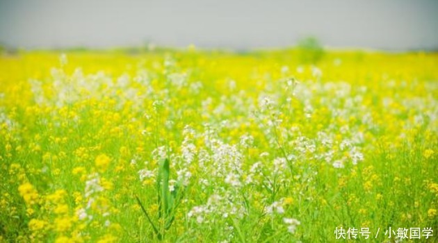 忍辱|济群法师:布施、忍辱和正见