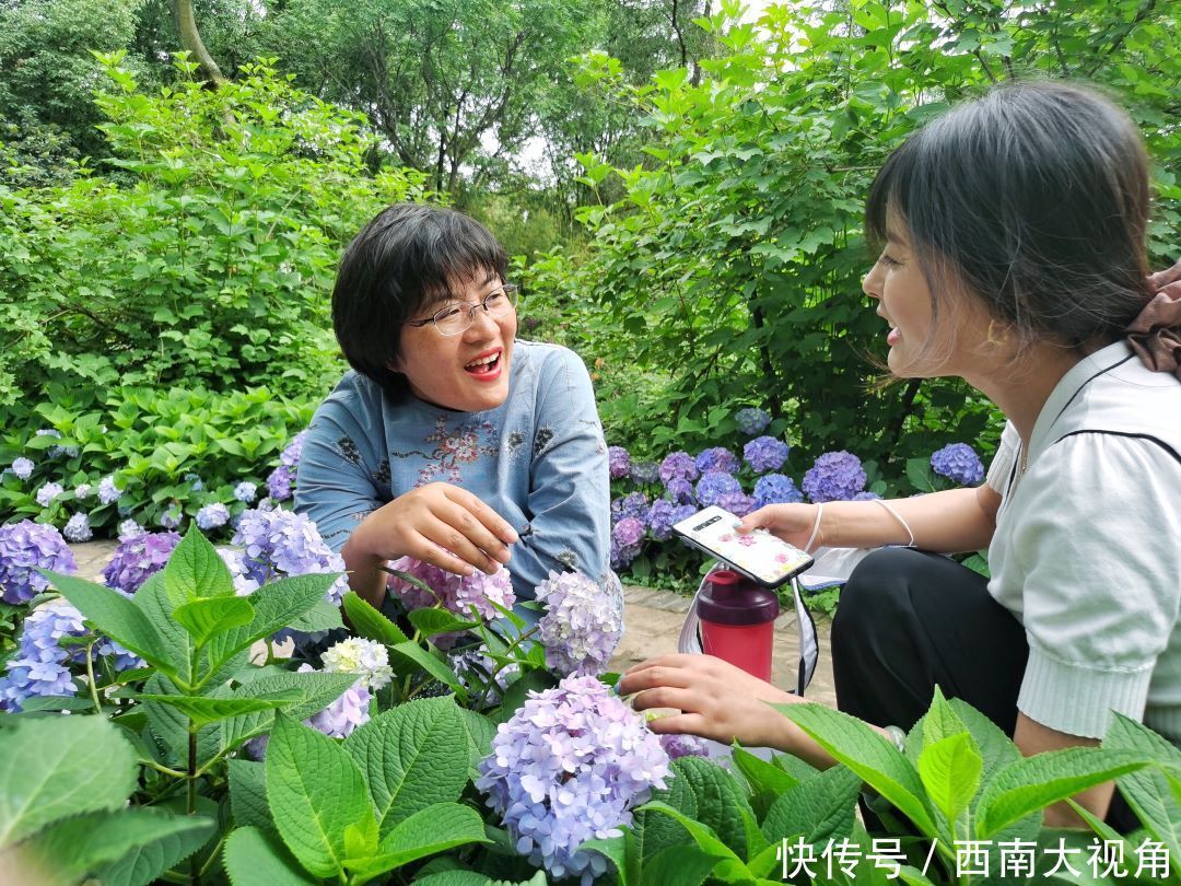 花友会|百颗毳毬谁织就，几枝琼萼露和圆 成都植物园“绣球花花”花友会与园艺爱好者浪漫相约