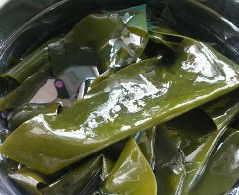 水洗|洗海带时，可不能只用水洗？老妈教你1招，干净清爽无腥味