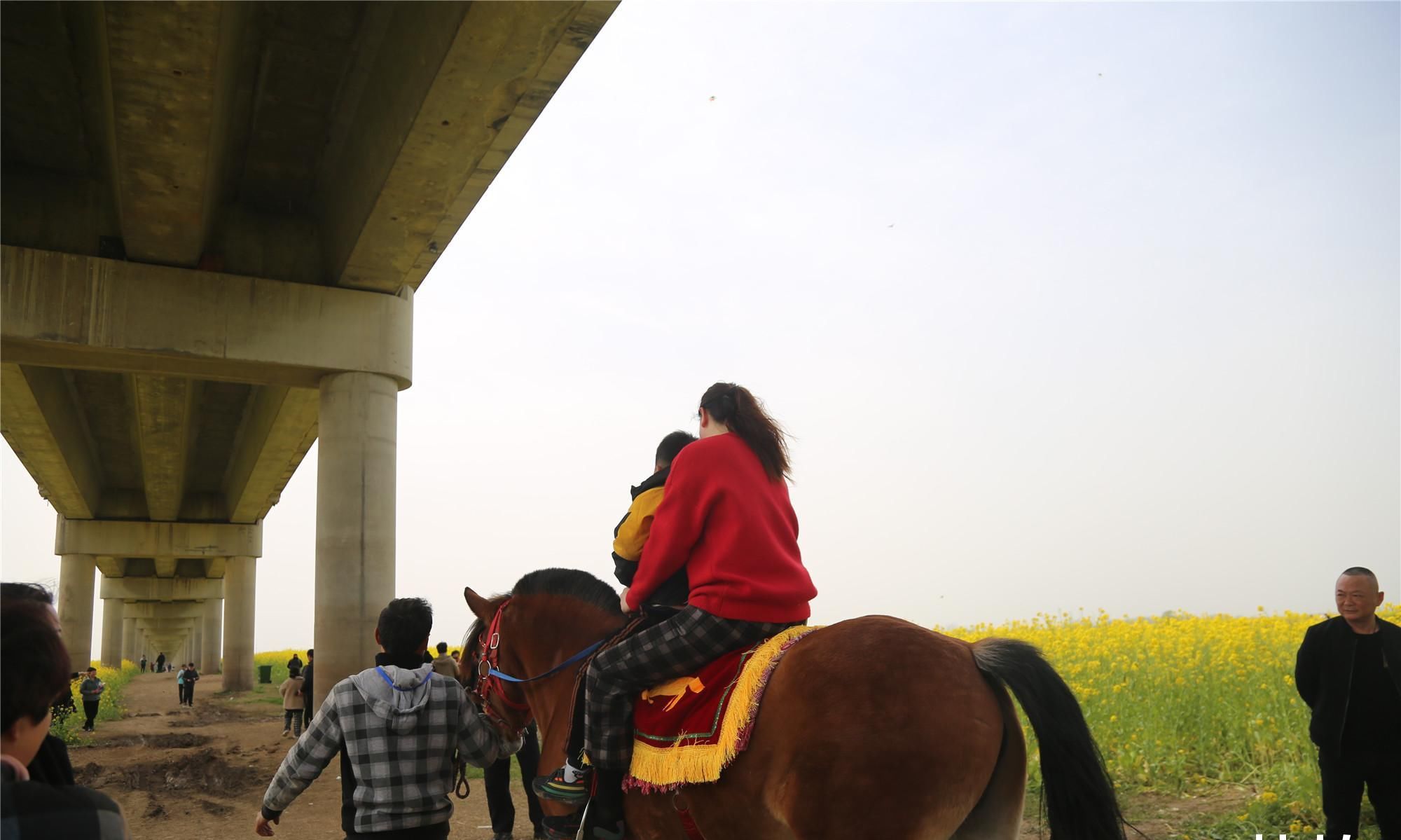 婚庆店老板苦叹淡季没生意,走出家发现商机笑称比旺季挣钱多