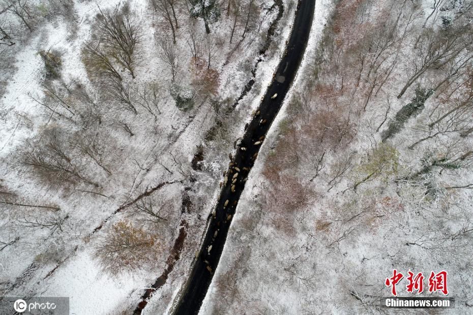 山脉|航拍土耳其山脉雪景 似冬日水墨画