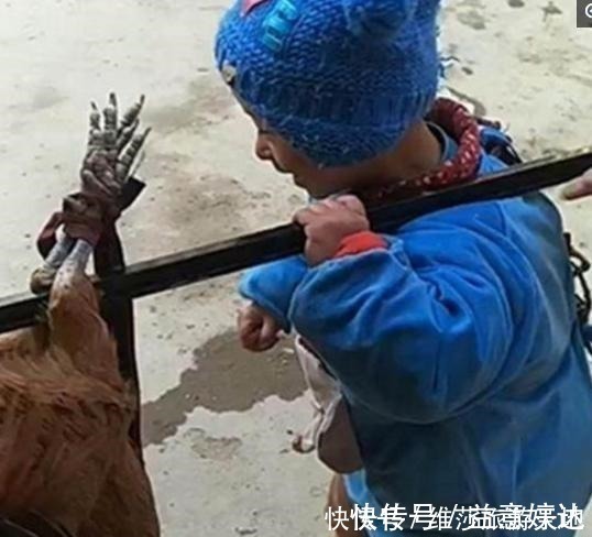 营养均衡|城里宝宝回奶奶家,呆了一个月之后,妈妈见到孩子哭笑不得