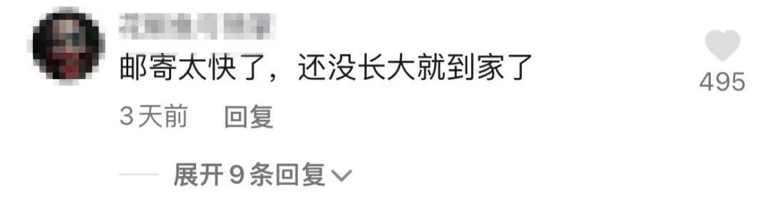 快递|68元网购20只大闸蟹！男子打开快递瞬间懵了！意想不到哈哈哈