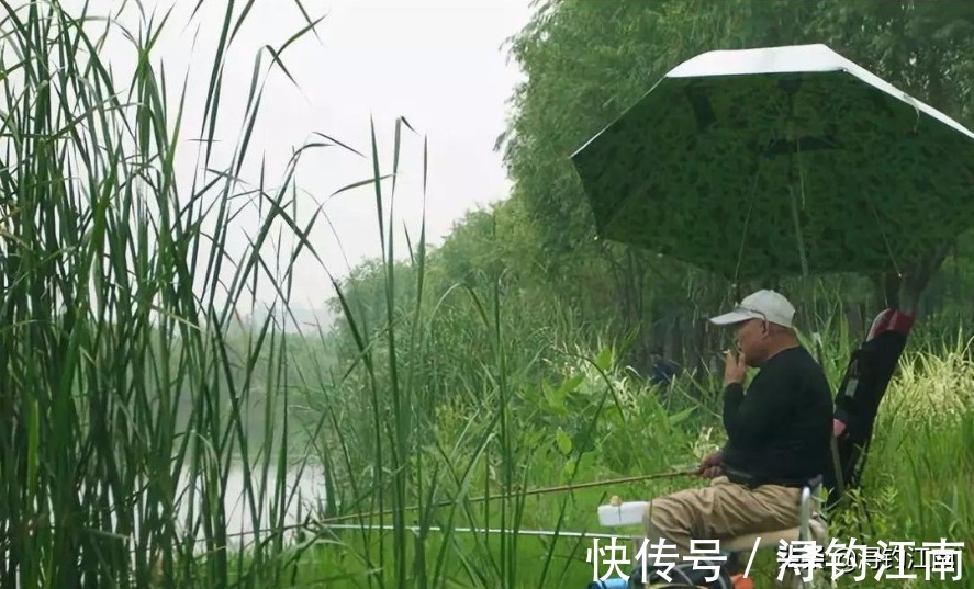 初学者|鱼口不好,只能干瞪眼?牢记这四个方面,让您少走弯路,莫不信