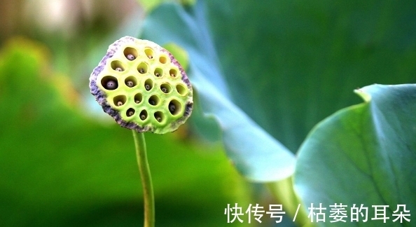 徐霞客|老祖宗:一个家庭的败落,往往从这些事开始,需谨慎