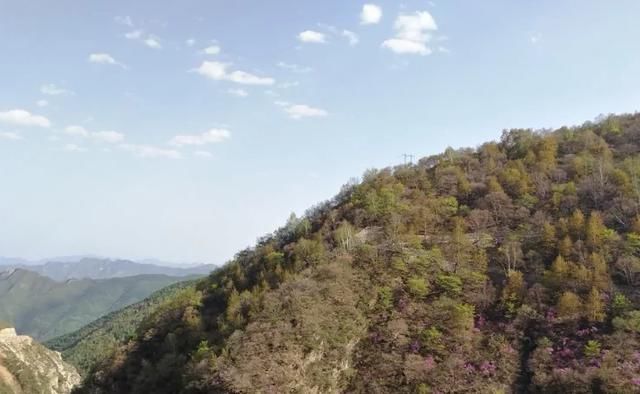 花海|北京有一超美景区，最高海拔1800米，以山门天池为主题，非常吸睛