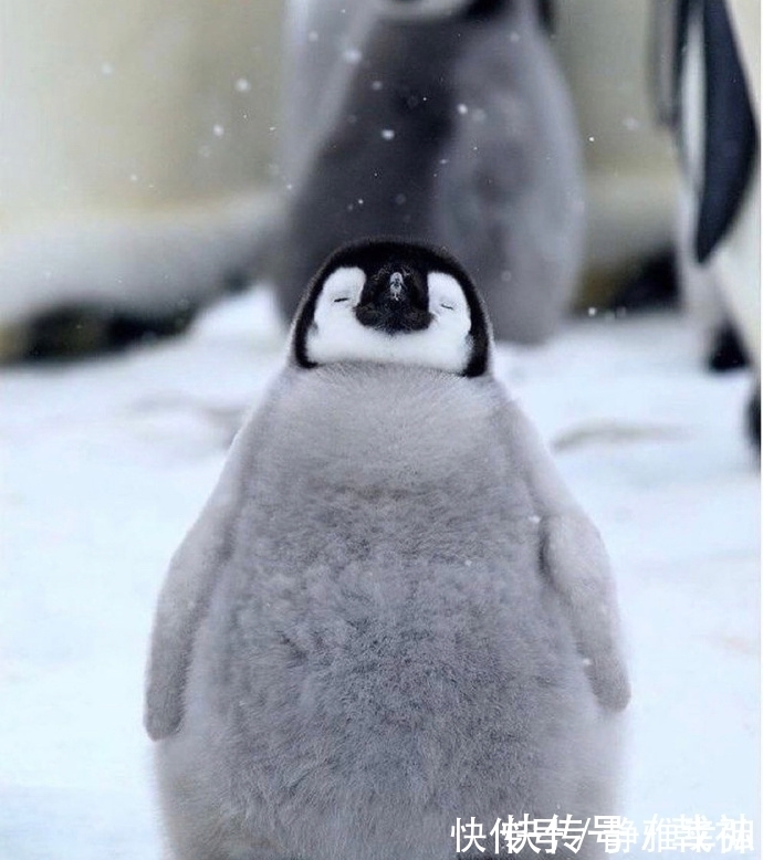 |幽默笑话:叔叔,你觉得我姑姑能生出我这么漂亮的闺女吗?