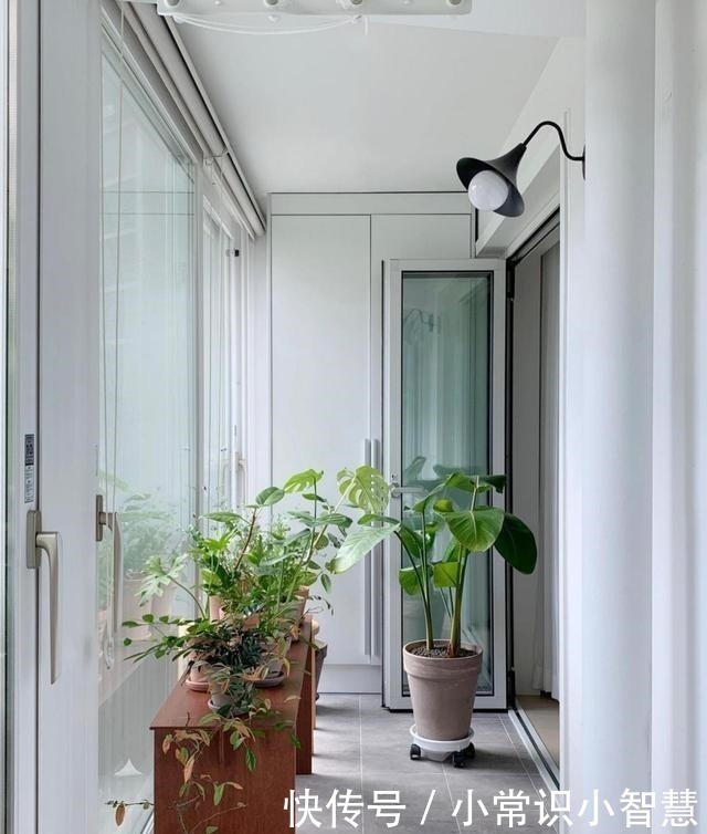 小姐姐|这套76平小房子,上了年纪却充满人情味!狭窄的厨房,一丝不苟!