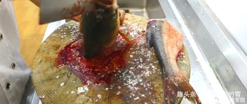 老人|厨师长教你“生焖鱼头”的家常做法,味道鲜美老人孩子都爱吃